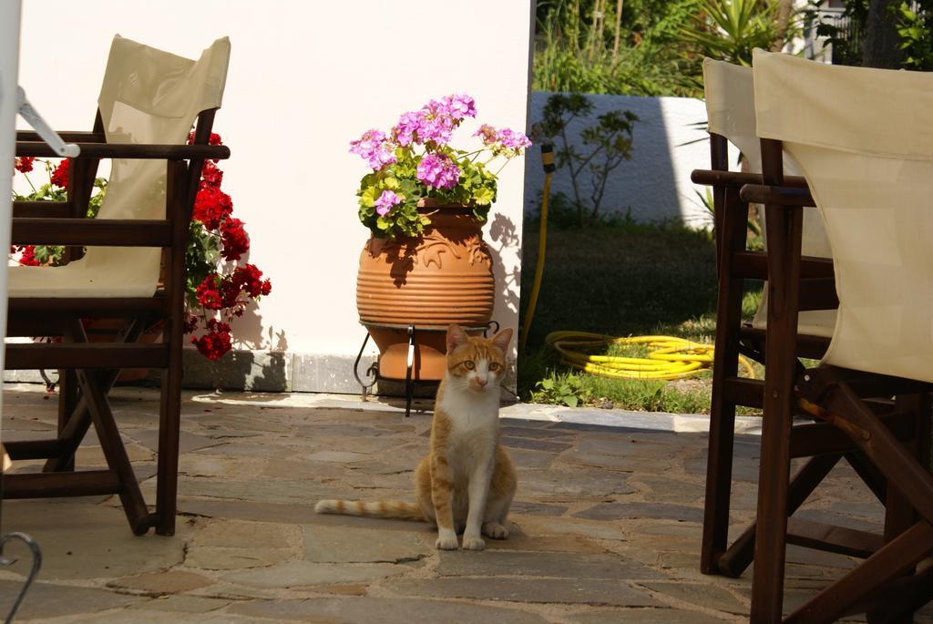 Andrianna Apartments アマウディア 部屋 写真